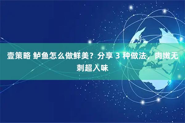 壹策略 鲈鱼怎么做鲜美？分享 3 种做法，肉嫩无刺超入味