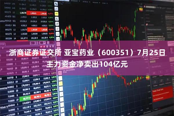 浙商证券证交所 亚宝药业（600351）7月25日主力资金净卖出104亿元