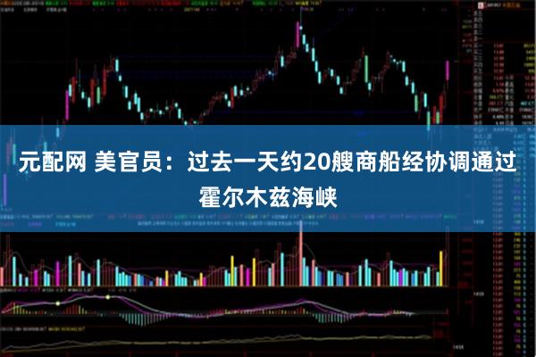 元配网 美官员：过去一天约20艘商船经协调通过霍尔木兹海峡