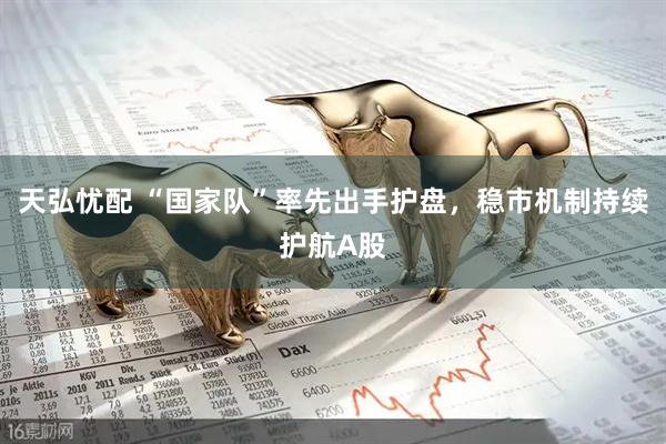 天弘忧配 “国家队”率先出手护盘，稳市机制持续护航A股