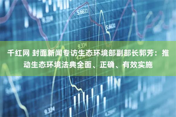千红网 封面新闻专访生态环境部副部长郭芳：推动生态环境法典全面、正确、有效实施