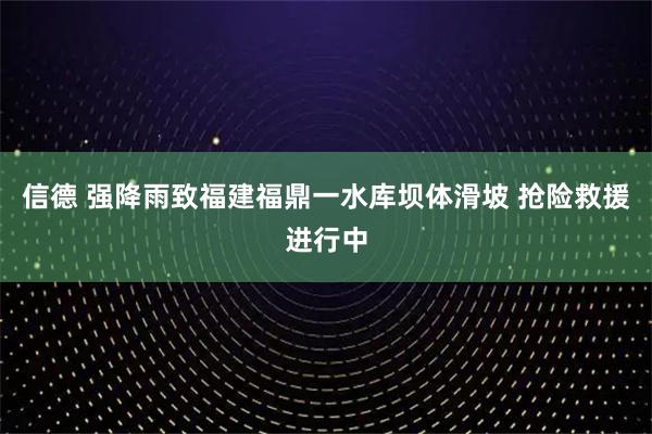 信德 强降雨致福建福鼎一水库坝体滑坡 抢险救援进行中